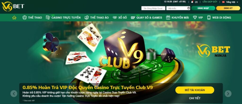 Các quy định trong chính sách miễn trừ trách nhiệm tại V9Bet